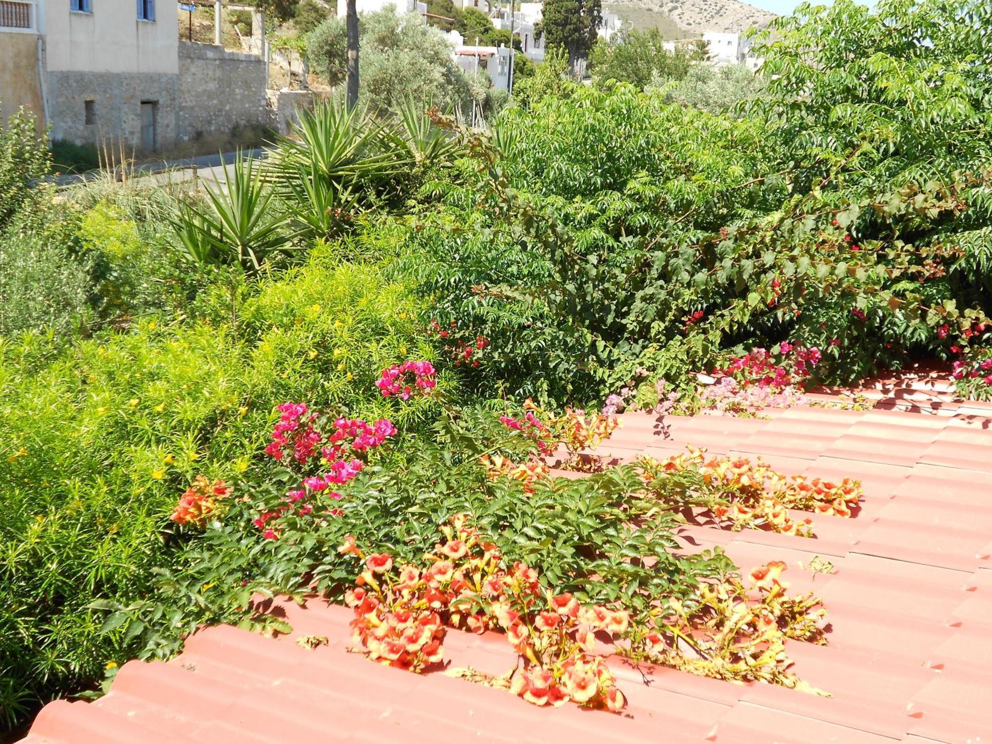 Caviri Διαμέρισμα Γαλησσάς Εξωτερικό φωτογραφία